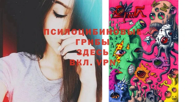 гашик Алексеевка