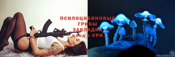гашик Алексеевка