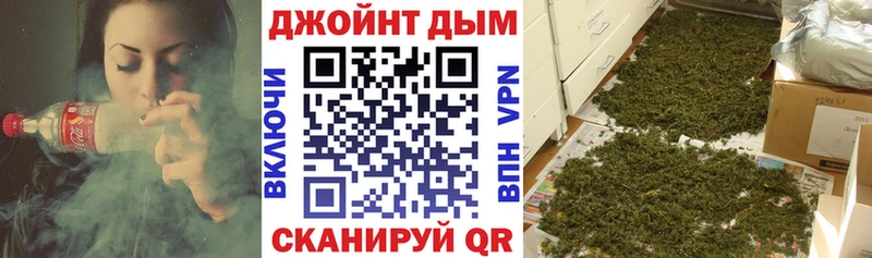 MEGA ONION  закладка  Злынка  Бошки марихуана THC 21% 